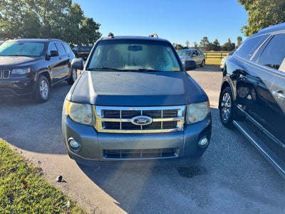 2011 Ford Escape XLT